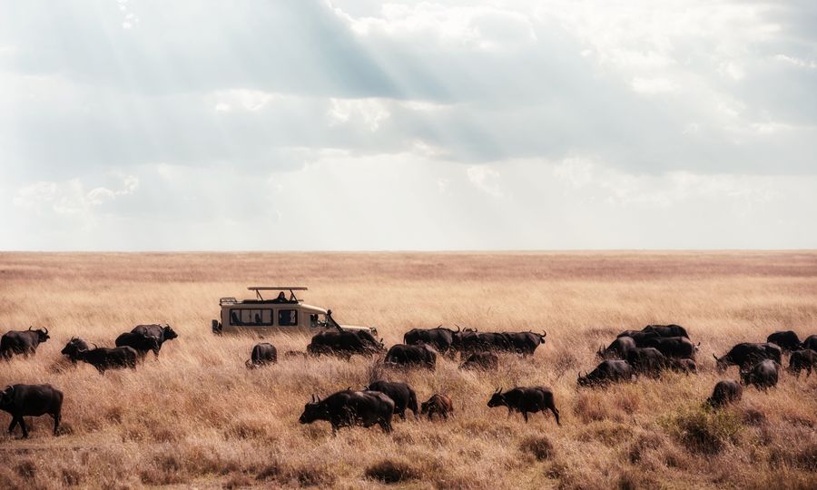 Serengeti National Park